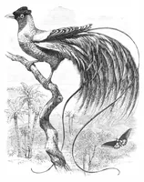 An illustration from Scientific American, Vol. 39, No. 15 (October 1878) (1878)