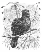 An illustration from Scientific American, Vol. 39, No. 16 (October 1878) (1878)