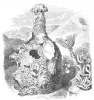 An illustration from Scientific American, Vol. 39, No. 18 (November 1878) (1878)