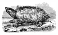 An illustration from Scientific American, Vol. 39, No. 25 (December 1878) (1878)