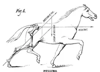 An illustration from Scientific American, Vol. 39, No. 26 (December 1878) (1878)