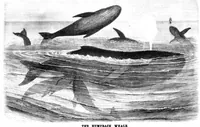 An illustration from Scientific American, Vol. 40, No. 9 (March 1879) (1879)