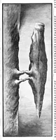 Picture 9 of 9 from Scientific American, Vol. 40, No. 10 (March 1879) (1879), leaf 11