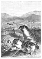 Picture 11 of 14 from Scientific American, Vol. 40, No. 14 (April 1879) (1879), leaf 8