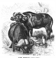 Picture 10 of 12 from Scientific American, Vol. 40, No. 15 (April 1879) (1879), leaf 8