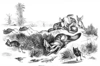 An illustration from Scientific American, Vol. 40, No. 16 (April 1879) (1879)