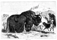 An illustration from Scientific American, Vol. 40, No. 19 (May 1879) (1879)