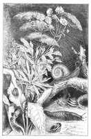 Picture 9 of 13 from Scientific American, Vol. 40, No. 23 (June 1879) (1879), leaf 8