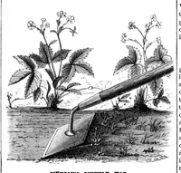An illustration from Scientific American, Vol. 40, No. 25 (June 1879) (1879)