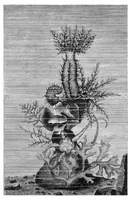 Picture 10 of 11 from Scientific American, Vol. 40, No. 25 (June 1879) (1879), leaf 8