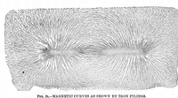 Picture 4 of 12 from Scientific American, Vol. 41, No. 14 (October 1879) (1879), leaf 4