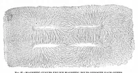 Picture 6 of 12 from Scientific American, Vol. 41, No. 14 (October 1879) (1879), leaf 5