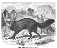 An illustration from Scientific American, Vol. 41, No. 15 (October 1879) (1879)