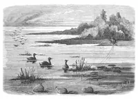 An illustration from Scientific American, Vol. 41, No. 16 (October 1879) (1879)