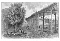 An illustration from Scientific American, Vol. 41, No. 17 (October 1879) (1879)