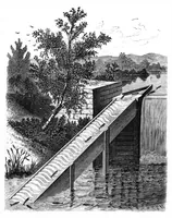 Picture 3 of 11 from Scientific American, Vol. 41, No. 18 (November 1879) (1879), leaf 4