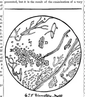 An illustration from Scientific American, Vol. 41, No. 25 (December 1879) (1879)