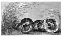 An illustration from Scientific American, Vol. 42, No. 1 (January 1880) (1880)