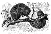 An illustration from Scientific American, Vol. 42, No. 1 (January 1880) (1880)