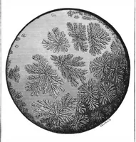 An illustration from Scientific American, Vol. 42, No. 5 (January 1880) (1880)