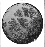 An illustration from Scientific American, Vol. 42, No. 6 (February 1880) (1880)