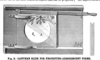 Picture 9 of 12 from Scientific American, Vol. 42, No. 6 (February 1880) (1880), leaf 6
