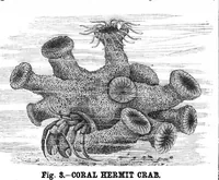 An illustration from Scientific American, Vol. 42, No. 8 (February 1880) (1880)