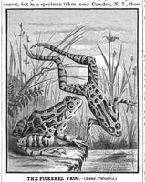 Picture 9 of 13 from Scientific American, Vol. 42, No. 9 (February 1880) (1880), leaf 8