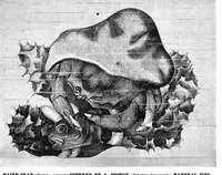 Picture 12 of 13 from Scientific American, Vol. 42, No. 10 (March 1880) (1880), leaf 10