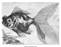 An illustration from Scientific American, Vol. 42, No. 13 (March 1880) (1880)