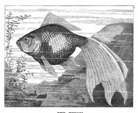 An illustration from Scientific American, Vol. 42, No. 13 (March 1880) (1880)
