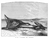 Picture 10 of 12 from Scientific American, Vol. 42, No. 15 (April 1880) (1880), leaf 10