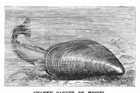 Picture 11 of 12 from Scientific American, Vol. 42, No. 15 (April 1880) (1880), leaf 10