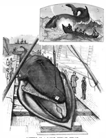 An illustration from Scientific American, Vol. 42, No. 16 (April 1880) (1880)
