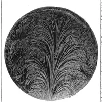 An illustration from Scientific American, Vol. 42, No. 21 (May 1880) (1880)