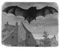 An illustration from Scientific American, Vol. 42, No. 25 (June 1880) (1880)
