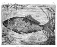 An illustration from Scientific American, Vol. 42, No. 26 (June 1880) (1880)