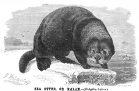 Picture 8 of 12 from Scientific American, Vol. 43, No. 2 (July 1880) (1880), leaf 8
