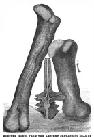 An illustration from Scientific American, Vol. 43, No. 5 (July 1880) (1880)