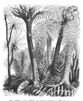 An illustration from Scientific American, Vol. 43, No. 7 (August 1880) (1880)