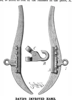 An illustration from Scientific American, Vol. 43, No. 8 (August 1880) (1880)