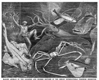 An illustration from Scientific American, Vol. 43, No. 11 (September 1880) (1880)