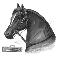 An illustration from Scientific American, Vol. 43, No. 12 (September 1880) (1880)