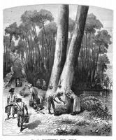 An illustration from Scientific American, Vol. 43, No. 12 (September 1880) (1880)