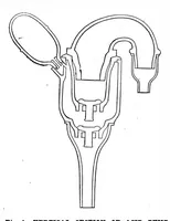 An illustration from Scientific American, Vol. 43, No. 15 (October 1880) (1880)
