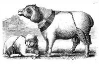 Picture 5 of 12 from Scientific American, Vol. 43, No. 16 (October 1880) (1880), leaf 4