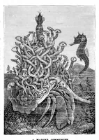 An illustration from Scientific American, Vol. 43, No. 16 (October 1880) (1880)