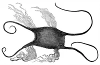 Picture 10 of 13 from Scientific American, Vol. 43, No. 17 (October 1880) (1880), leaf 9