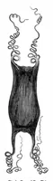 Picture 12 of 13 from Scientific American, Vol. 43, No. 17 (October 1880) (1880), leaf 9
