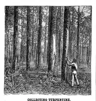 Picture 10 of 13 from Scientific American, Vol. 43, No. 18 (October 1880) (1880), leaf 8